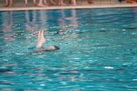 IMG_0515