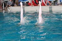 IMG_6388