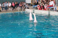 IMG_6390