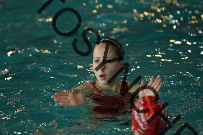 2II_5610