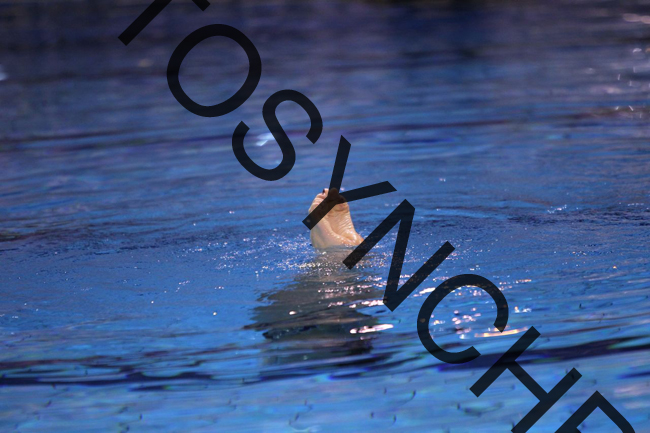 3_X_9108