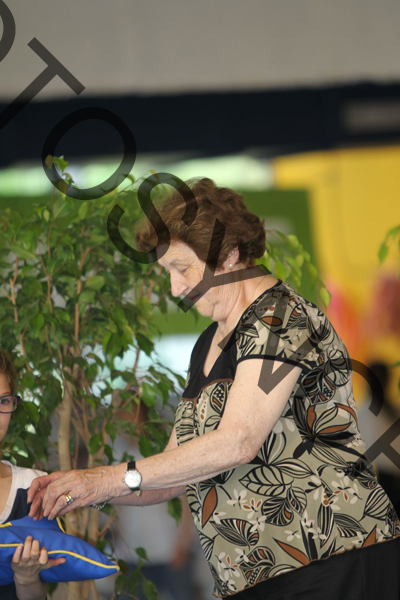 4_OO2006
