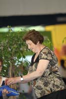 4_OO2006