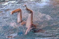 4_KK2003