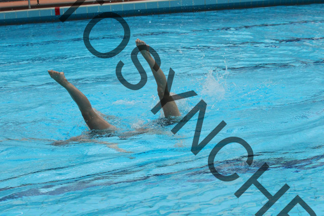 4_GG4623-2