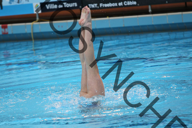 4_GG3278