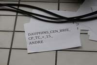 4_PP4779