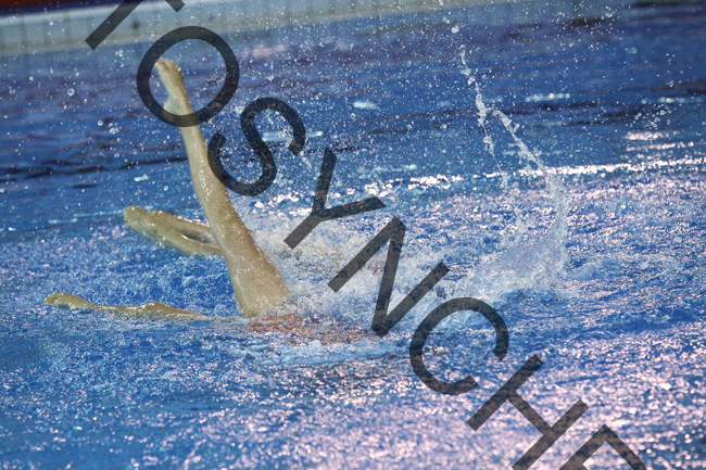 4_TT2246