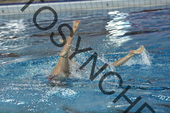 4SS_4225