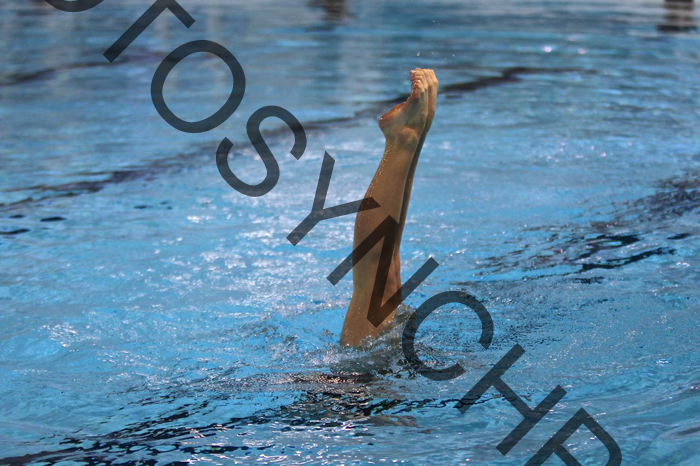 4_XX1685