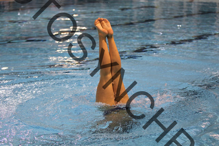 4_XX2891