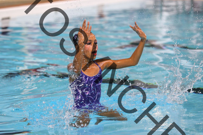 4_XX1246
