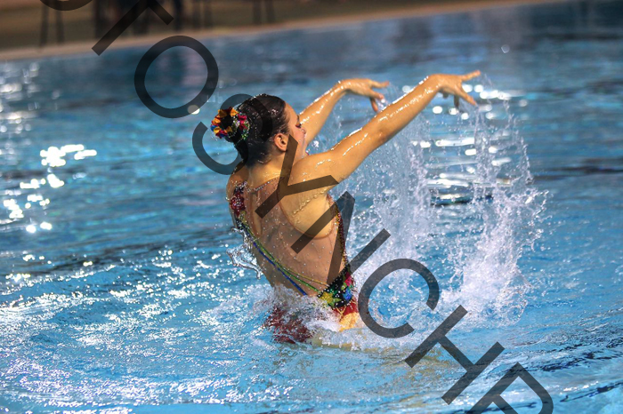 4_XX2419