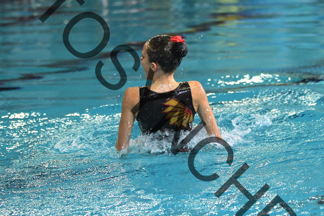 4_XX0556