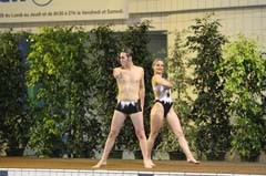 IMG_8564