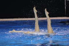 5_PP3864