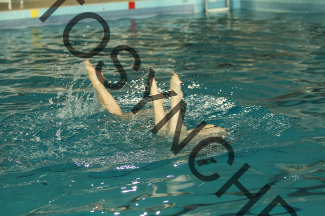 5_GG8545