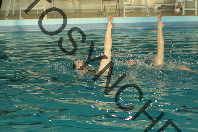 5_GG8565