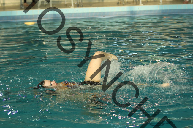 5_GG8651