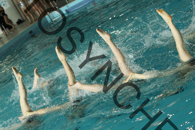 5_GG0740