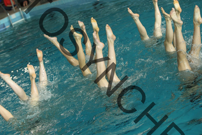 5_GG0784