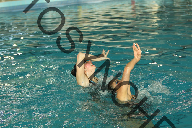 5_GG8377