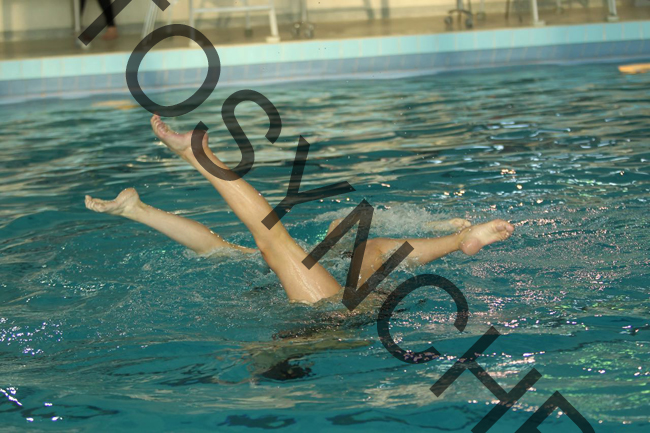 5_GG8402