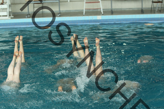 5_GG6719