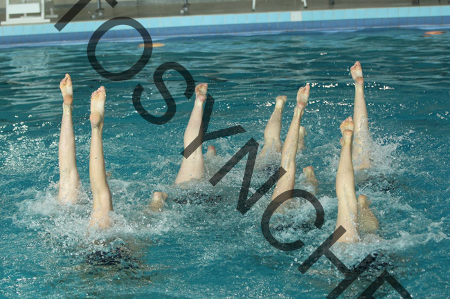 5_GG0492