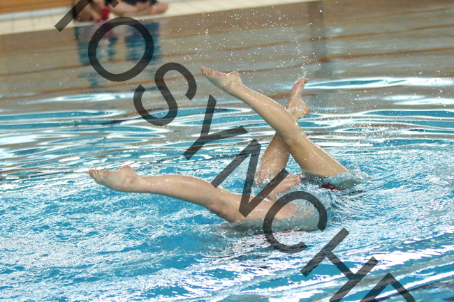 15_F3343