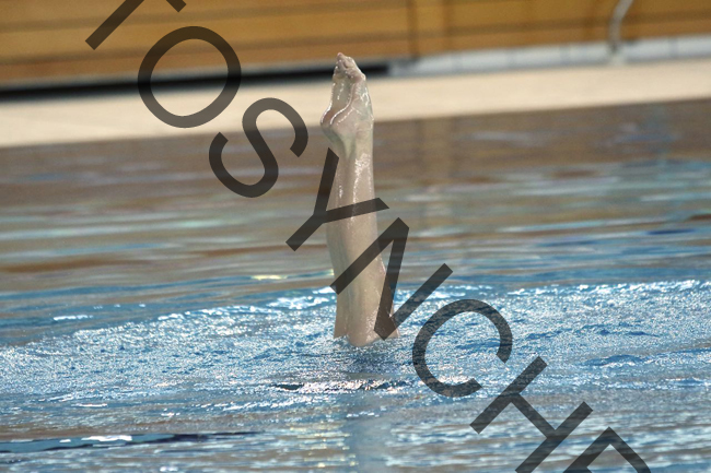 8D6A0255