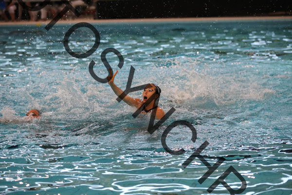 19_X2880