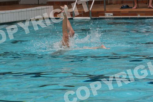 IMG_2212