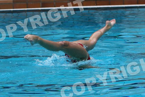 IMG_1379