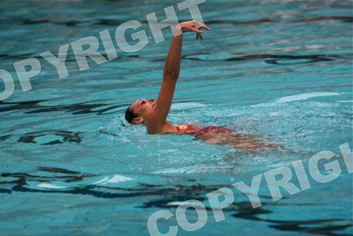IMG_1433