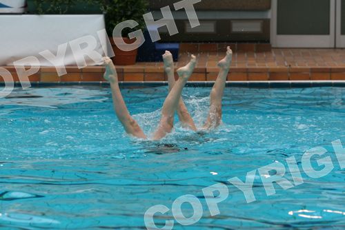 IMG_7186