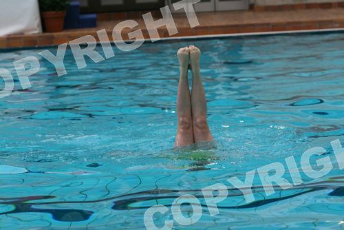 IMG_3637