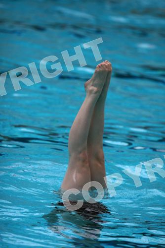 IMG_8993