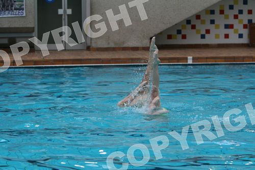 IMG_7068
