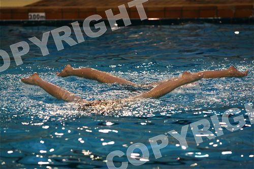 IMG_5266