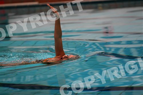 IMG_2986