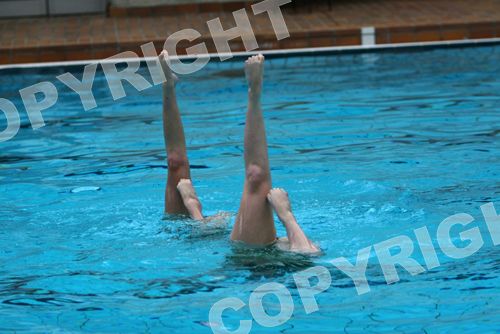 IMG_2439