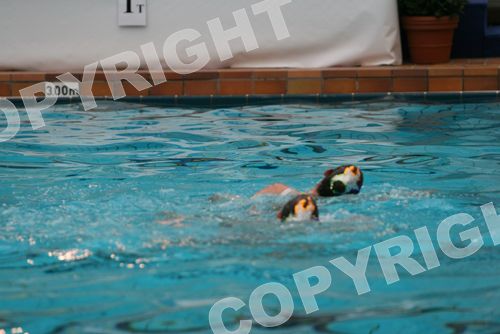 IMG_7372