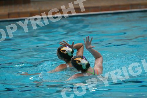 IMG_7386