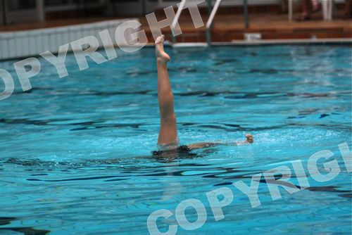 IMG_1242