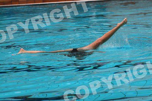 IMG_1265