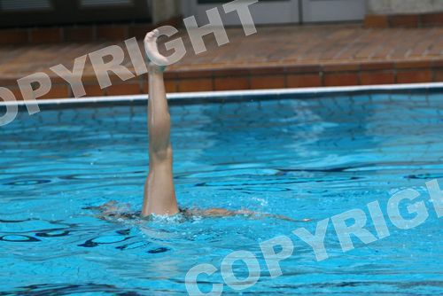IMG_1280