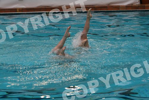 IMG_6454