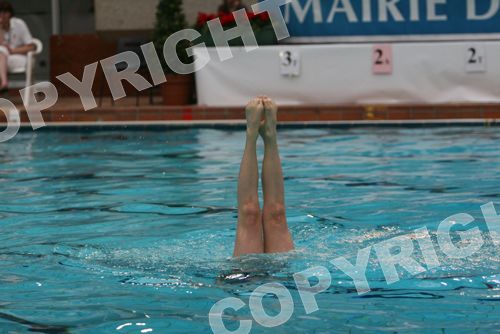 IMG_4528
