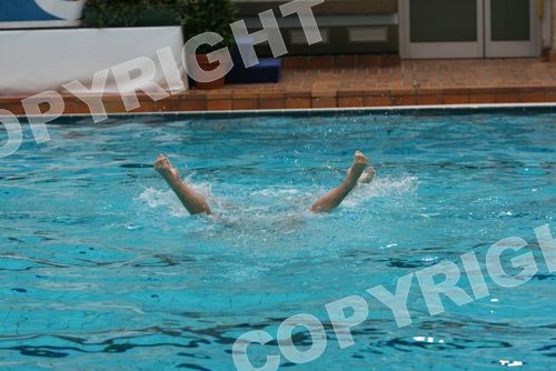 IMG_6661